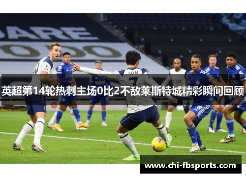 英超第14轮热刺主场0比2不敌莱斯特城精彩瞬间回顾