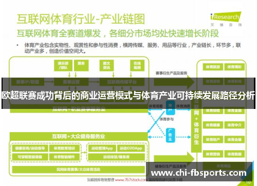 欧超联赛成功背后的商业运营模式与体育产业可持续发展路径分析