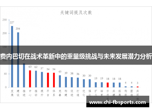 费内巴切在战术革新中的重量级挑战与未来发展潜力分析