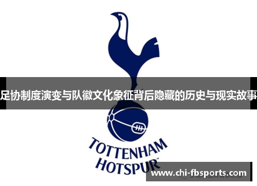 足协制度演变与队徽文化象征背后隐藏的历史与现实故事