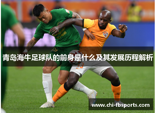 青岛海牛足球队的前身是什么及其发展历程解析 青岛海牛足球队的前身是什么及其发展历程解析