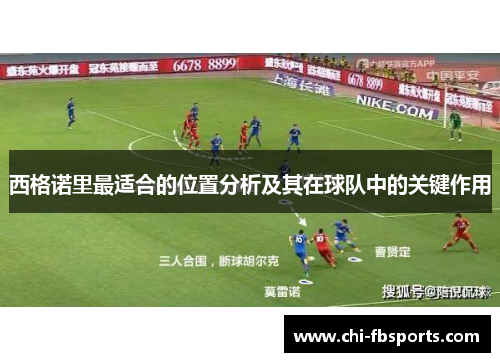 西格诺里最适合的位置分析及其在球队中的关键作用