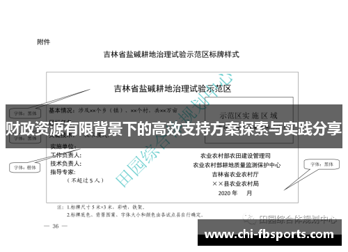 财政资源有限背景下的高效支持方案探索与实践分享