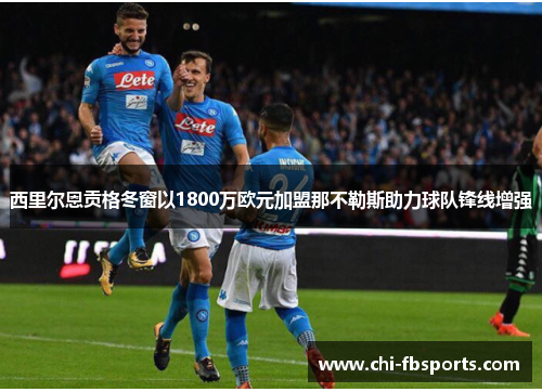 西里尔恩贡格冬窗以1800万欧元加盟那不勒斯助力球队锋线增强