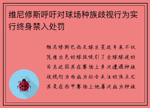 维尼修斯呼吁对球场种族歧视行为实行终身禁入处罚