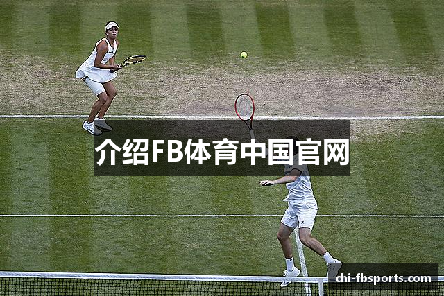 介绍FB体育中国官网